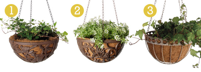 hanging baskets online