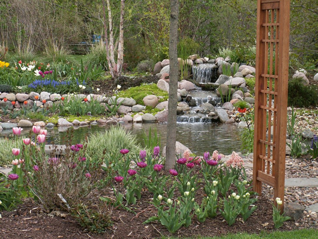create a water stream in your backyard