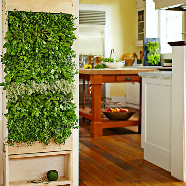 vertical-garden4