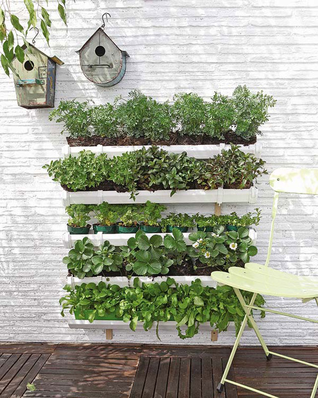 vertical-garden5