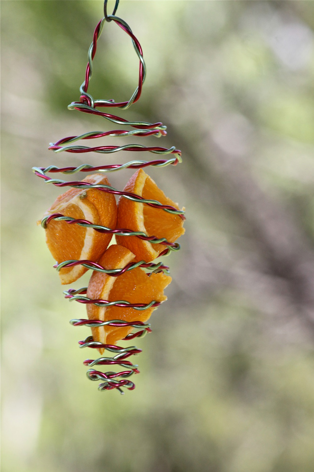 diy-birdfeeder