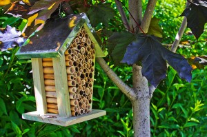 MasonBee